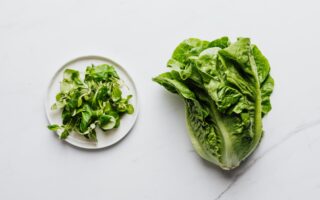 romaine-lettuce