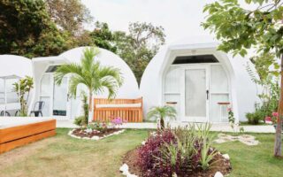 Landscaping Tips and Trends for a Beautiful Garden