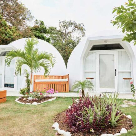 Landscaping Tips and Trends for a Beautiful Garden